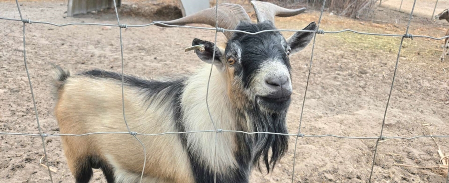 0 Bedroom Property for Sale in Franskraal Western Cape